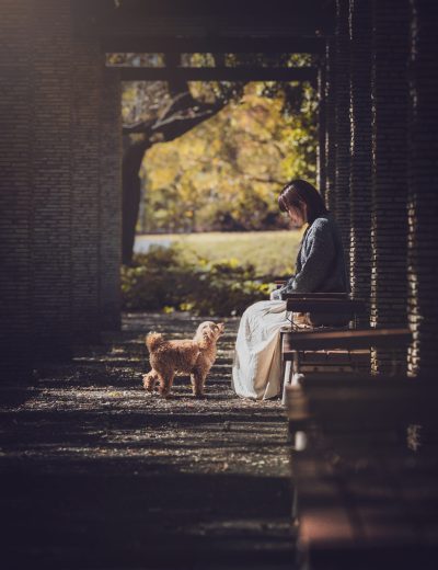 Edited with Lens Distortions v6.9.1