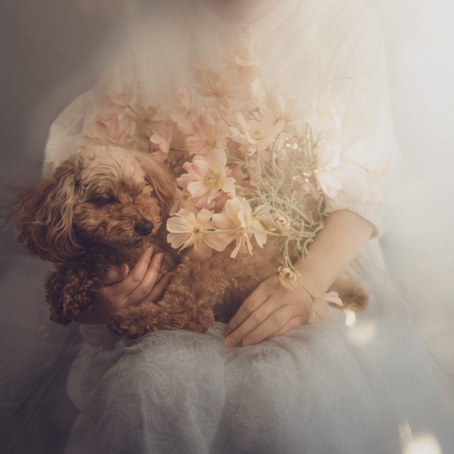 Edited with Lens Distortions v6.6.0