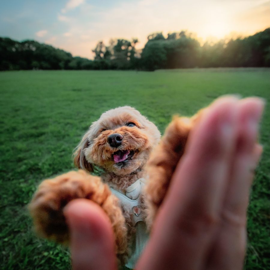 Edited with Lens Distortions v6.9.1